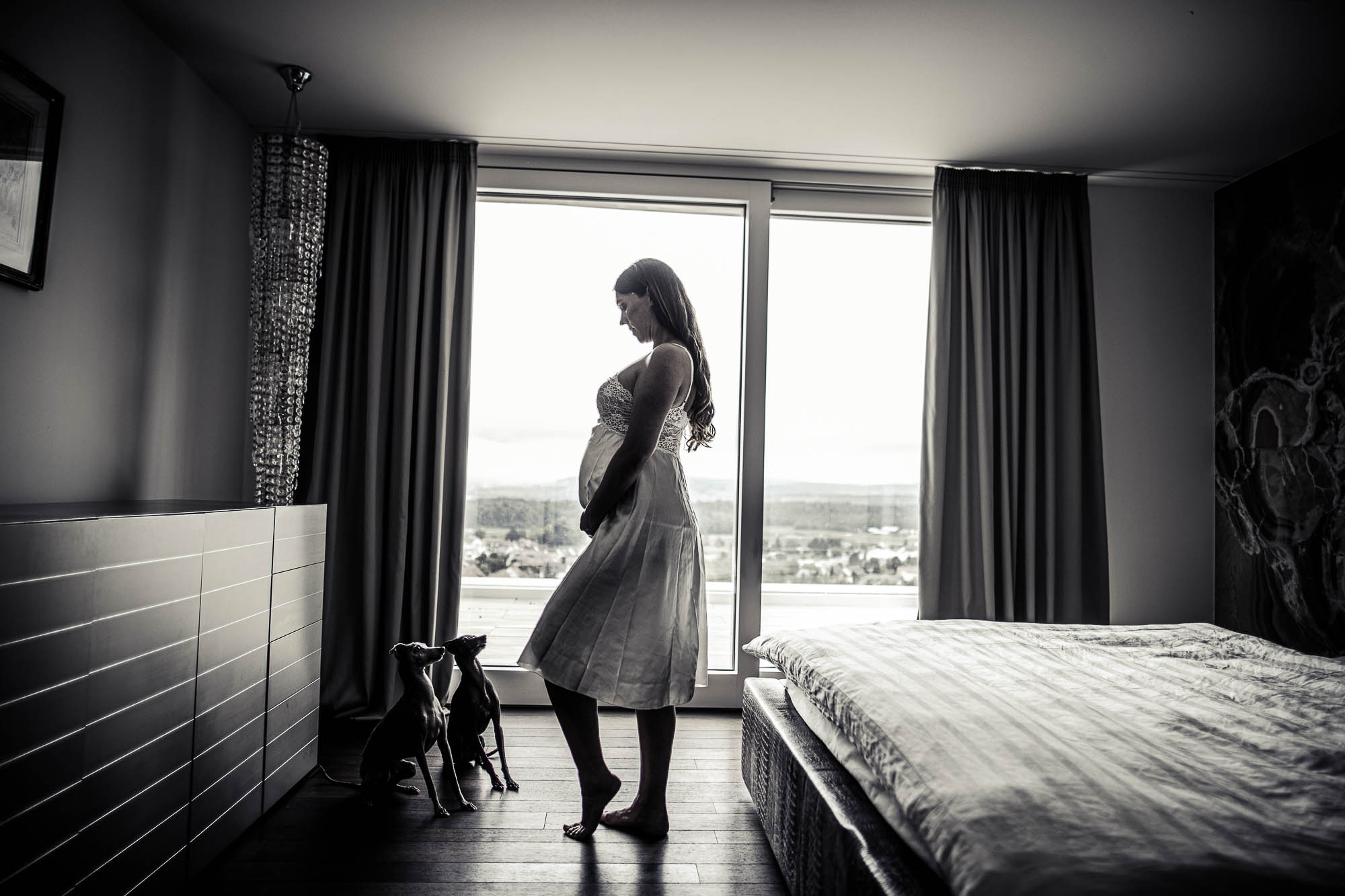 Export x3 1DX26129 Fotoshooting 2020 Zito 2